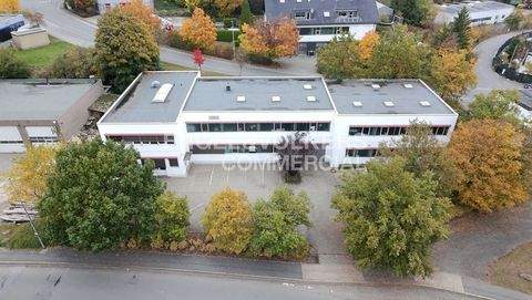 Lüdenscheid Halle, Lüdenscheid Hallenfläche