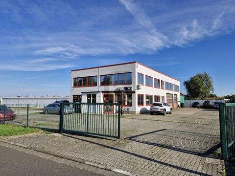 Ohrdruf Halle, Ohrdruf Hallenfläche