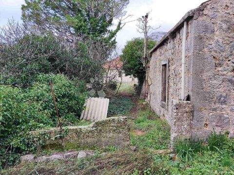 Orebic Häuser, Orebic Haus kaufen