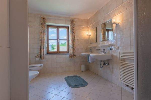 Tageslichtduschbad (1)