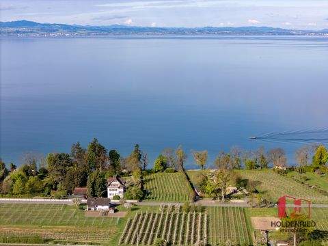Kressbronn am Bodensee Wohnungen, Kressbronn am Bodensee Wohnung kaufen