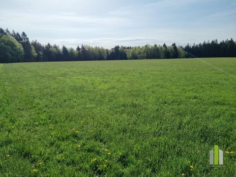 Obertrum am See Bauernhöfe, Landwirtschaft, Obertrum am See Forstwirtschaft