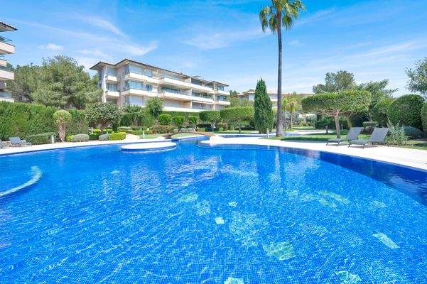 175f830d-0e07-41a3-81ec-b5e421ed607f