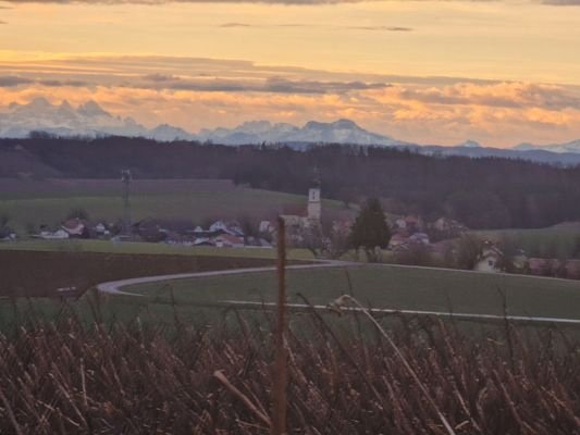 Ausblick