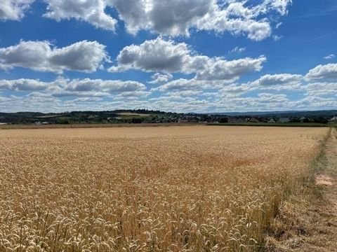 Langenselbold Grundstücke, Langenselbold Grundstück kaufen