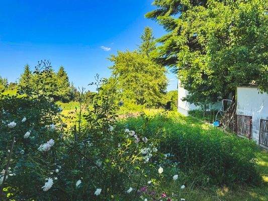 Blick von der Grundstücksmitte nach Osten