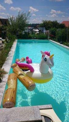 Ausserdem macht mein riesiger Salzwasserpool, an dem man übrigens auch auf der unteren, großen Terrasse sitzen kann sowieso wieder wett. Unten im Bild, meine Orangerie, die im Moment ebenfalls als Gewächshaus dient