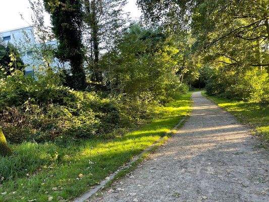 sowie Schattbachtal + Laerholz +