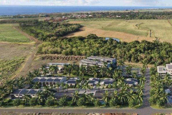 The Grove  Le Vetvier