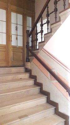 Elegante Altbautreppe
