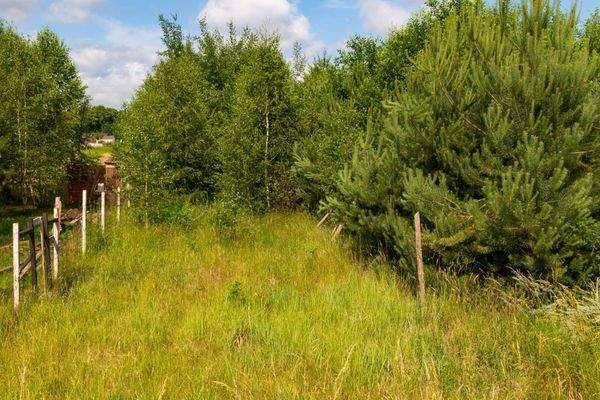 Truemper-Immobilien-Polnische Ostsee-Niezyn-Grundstück00003