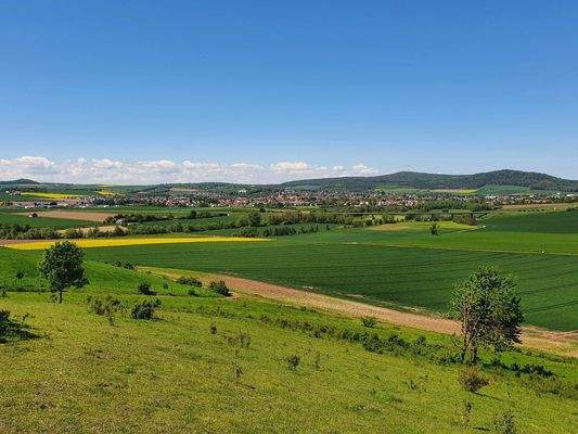 Blick vom Offenberg im Mai