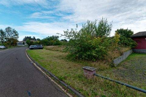 Manderscheid Industrieflächen, Lagerflächen, Produktionshalle, Serviceflächen