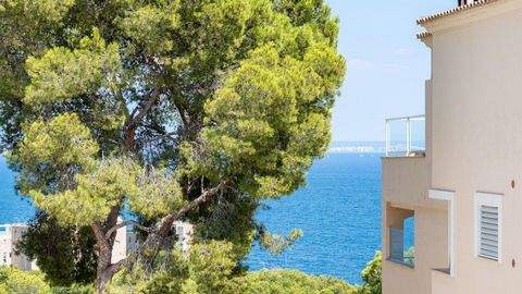 Cas Català Wohnungen, Cas Català Wohnung kaufen