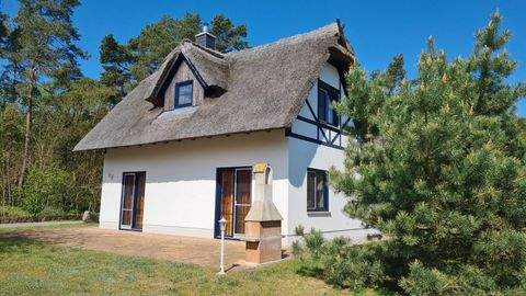 Zirchow Häuser, Zirchow Haus kaufen