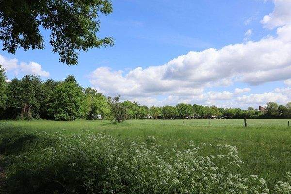 Direkte Umgebung am Nordfeld