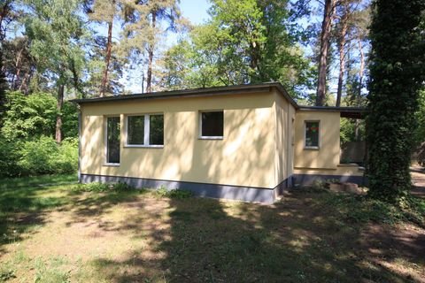 Potsdam / Groß Glienicke Häuser, Potsdam / Groß Glienicke Haus kaufen