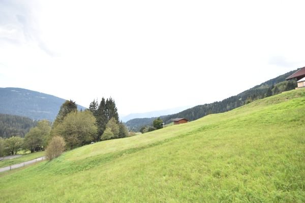 Landwirtschaftlich genutztes Grünland Kauf Arriach Kärnten