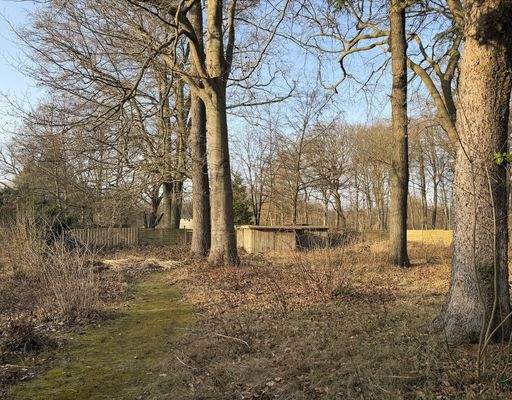 Rückseite Grundstück