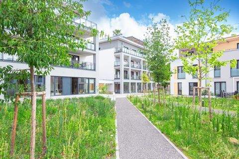 Baden-Baden Ladenlokale, Ladenflächen 