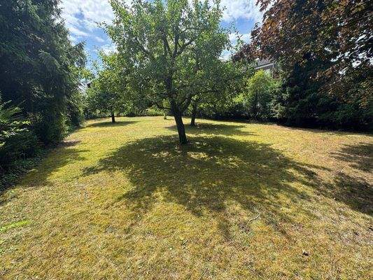 Zusätzliches Baugrundstück 786 m²