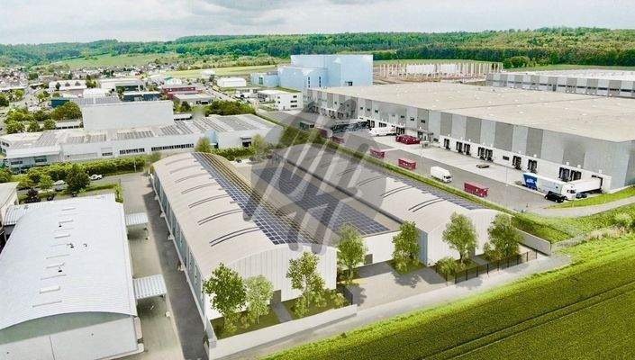 INFOS UNTER: 06171-586000