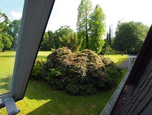 Büroblick in den Park - Office view of the park