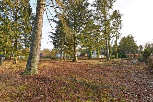 größtenteils gerodet