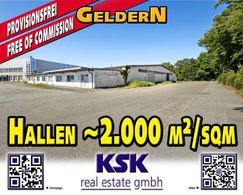 Geldern Halle, Geldern Hallenfläche