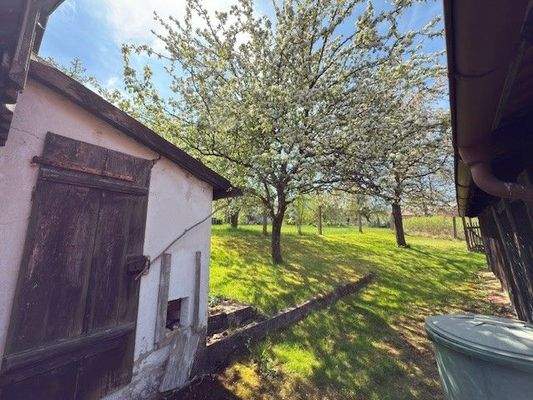 Hühnerhaus, Blick in den Garten.jpg