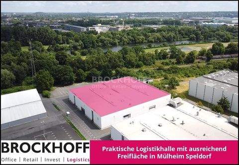 Mülheim Halle, Mülheim Hallenfläche