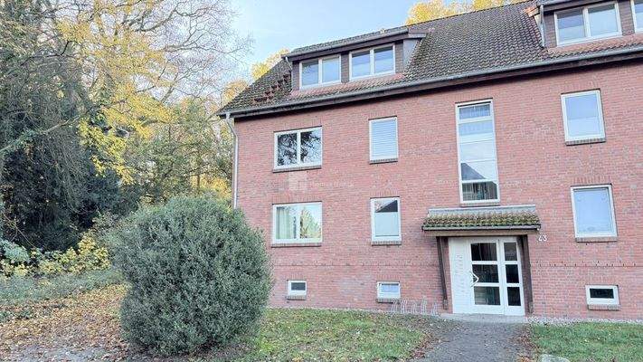 Die grüne Umgebung - Lewitz