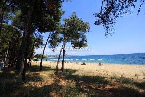 Kalyves Polygyrou Häuser, Kalyves Polygyrou Haus kaufen