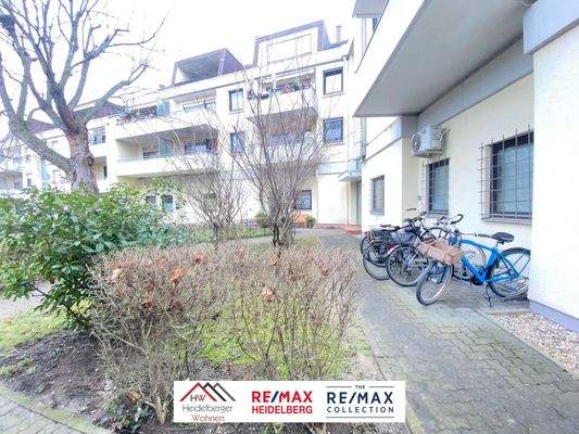 WhatsApp Image 2026-02-10 at 12.03.36 (3)