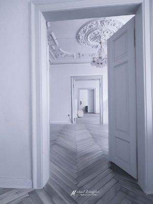 BlickdurchdieWohnung