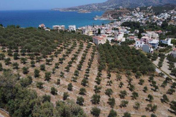 Kreta, Kalyves: Weitläufiges Grundstück mit Meerblick zu verkaufen
