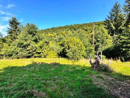 Jede Menge Platz zum Entfalten (4)