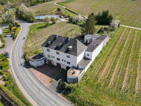 Wincheringen Häuser, Wincheringen Haus kaufen