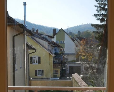 Freiburg im Breisgau Wohnungen, Freiburg im Breisgau Wohnung mieten