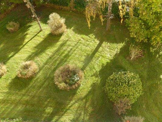 Blick vom Balkon in den Garten