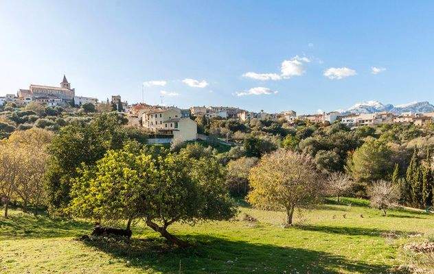 Campanet Countryside