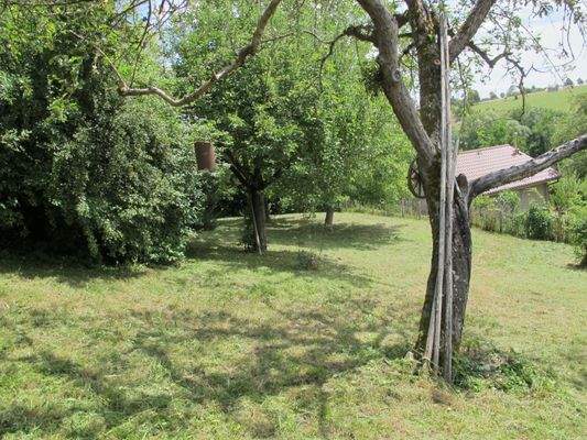 Garten mit altem Bestand.JPG