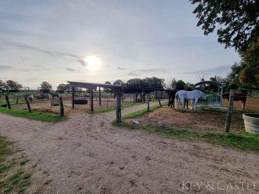 Paddocks mit Unterständen und Heuraufen inklusive