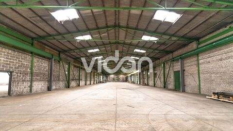 Engelskirchen Halle, Engelskirchen Hallenfläche