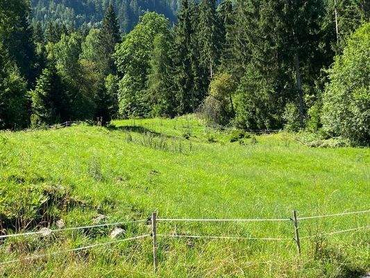Landwitschaftliche Grundfläche