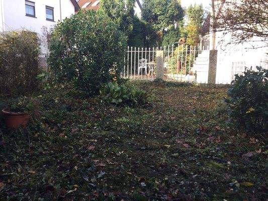 Blick von der Küche in den Garten