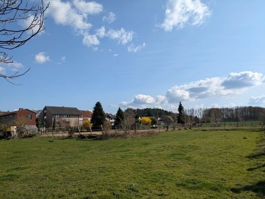 Pferdewiese