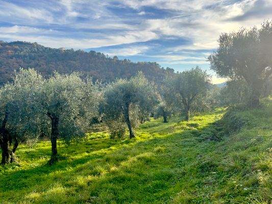 DA1013_01 TERRA ITALIA IMMOBILIEN_REAL ESTATE_FOR 