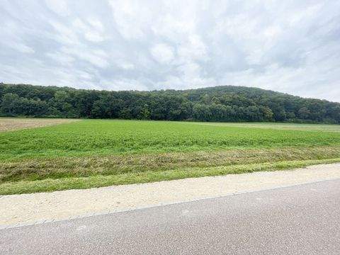 Treuchtlingen Bauernhöfe, Landwirtschaft, Treuchtlingen Forstwirtschaft