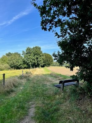 Hamfelde Kirchweg.jpg